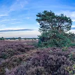 Awesome In * Voorthuizen
