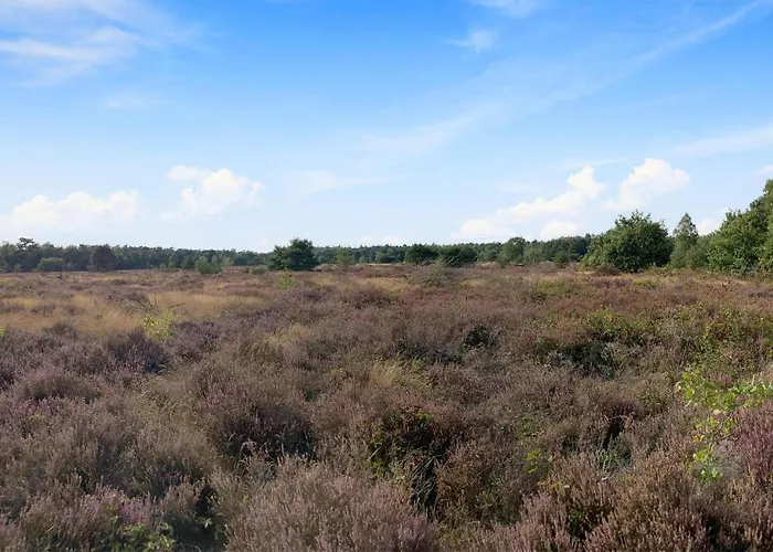 Awesome In 度假居 *