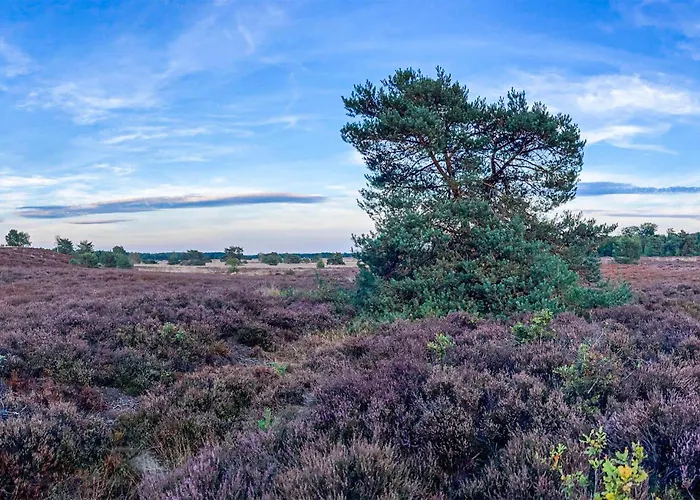 Awesome In * 福尔特赫伊曾